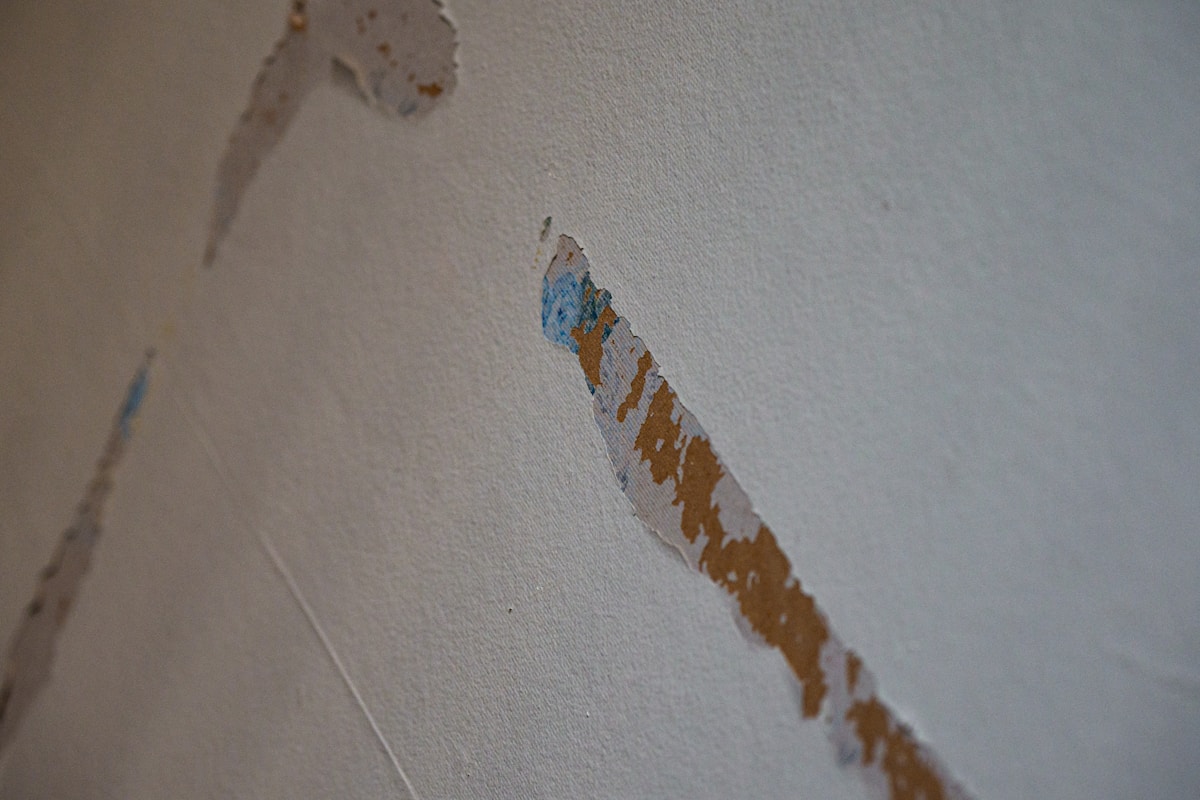 Flood Cleanup service in Dallas, TX